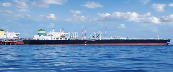 摩洛哥海鮮進(jìn)口報(bào)關(guān)