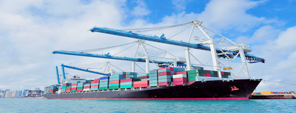 菠蘿進口報關(guān)代理