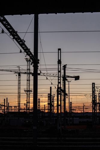 寧波荔枝干進口報關(guān)公司