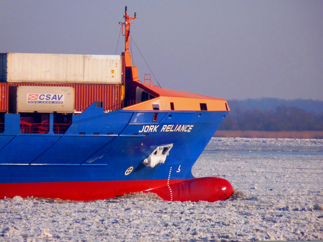 寧波椰棕板進口報關代理