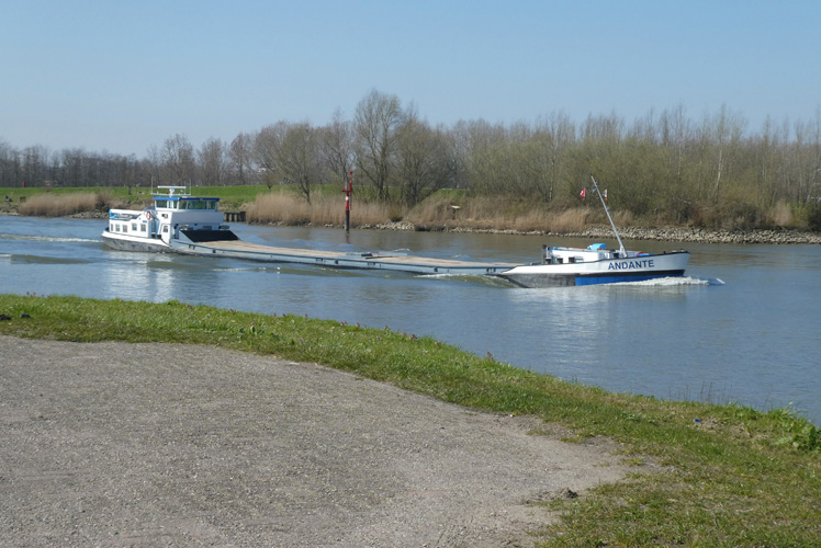 堅果進口到上海報關(guān)流程