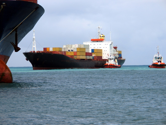 寧波進口海參報關(guān)