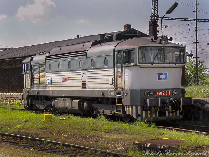 寧波瑞士牛肉進口報關