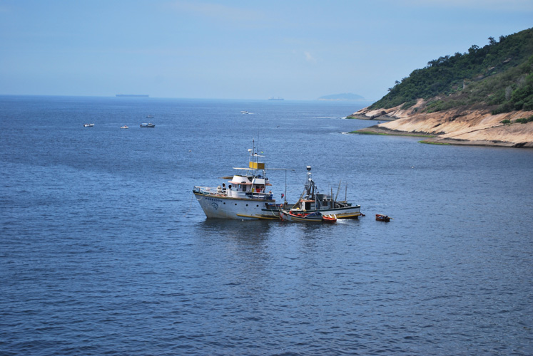 河南省進口汽車報關手續
