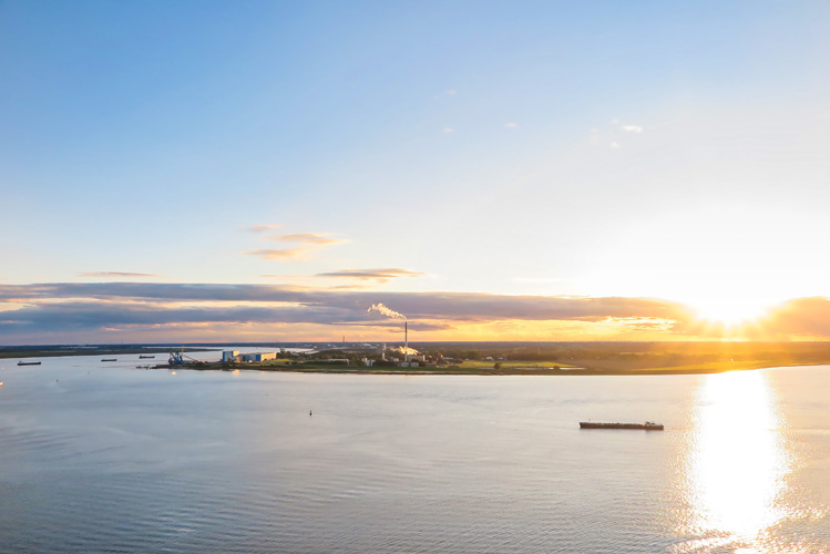 寧波貓糧進口報關(guān)