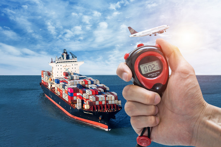 寧波報關公司進口草果