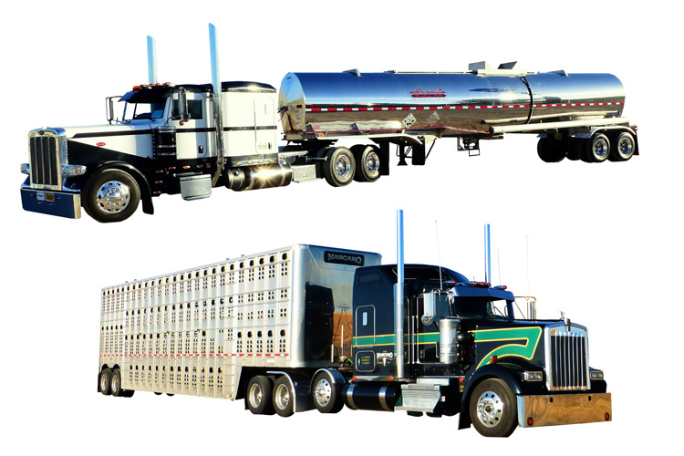 樣品汽車的報關(guān)進口