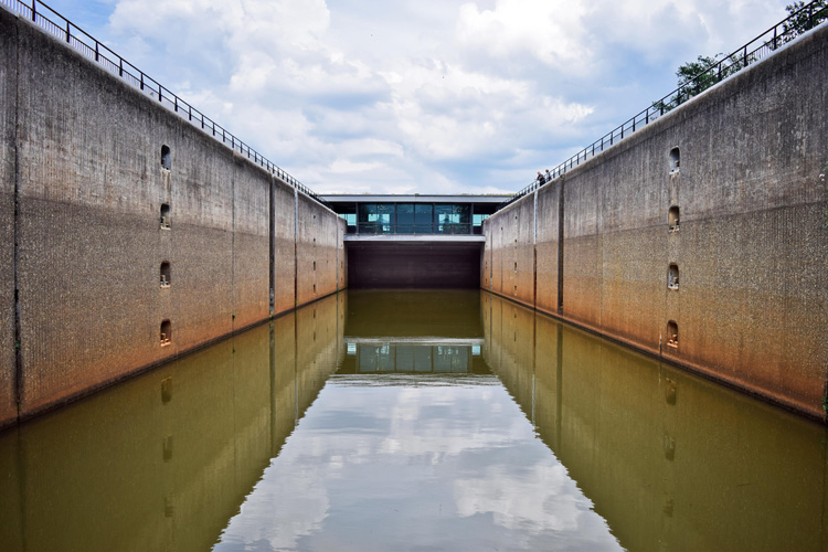 寧波進(jìn)口牛奶報關(guān)代理