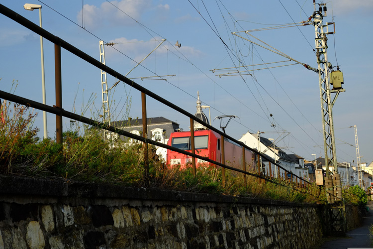 進(jìn)出口免費(fèi)是一般貿(mào)易嗎