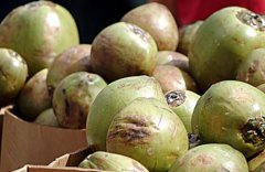 新鮮椰子進口報關(guān)[案例]