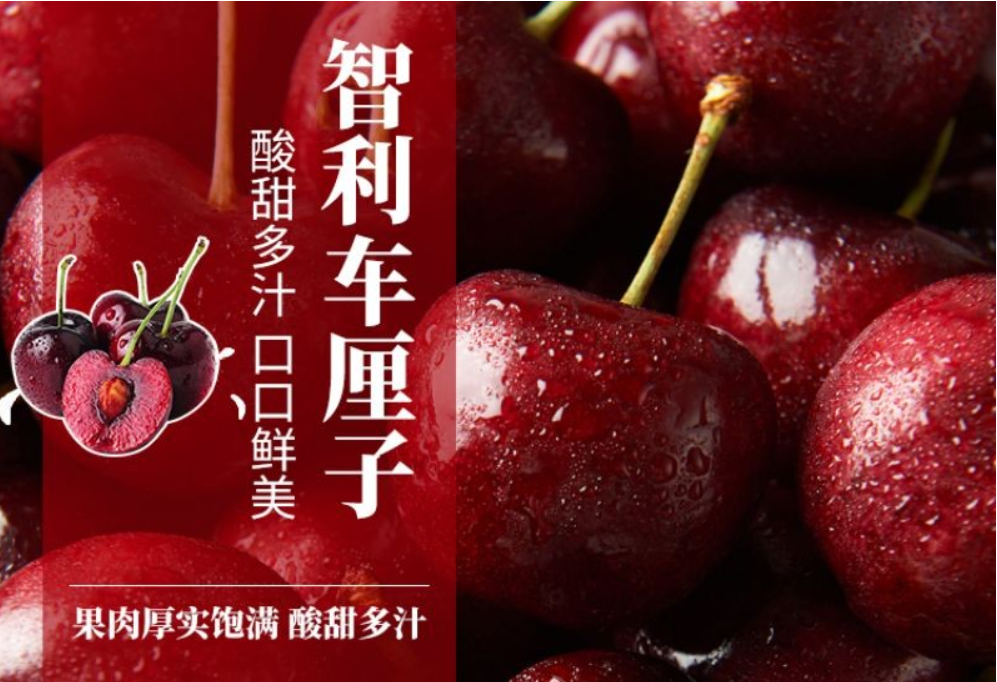 智利車?yán)遄舆M(jìn)口報(bào)關(guān)