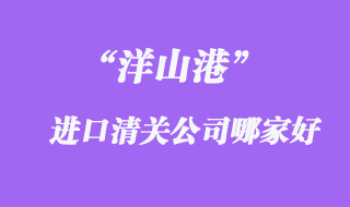 洋山港進(jìn)出口報(bào)關(guān)公司